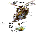 obr10.gif